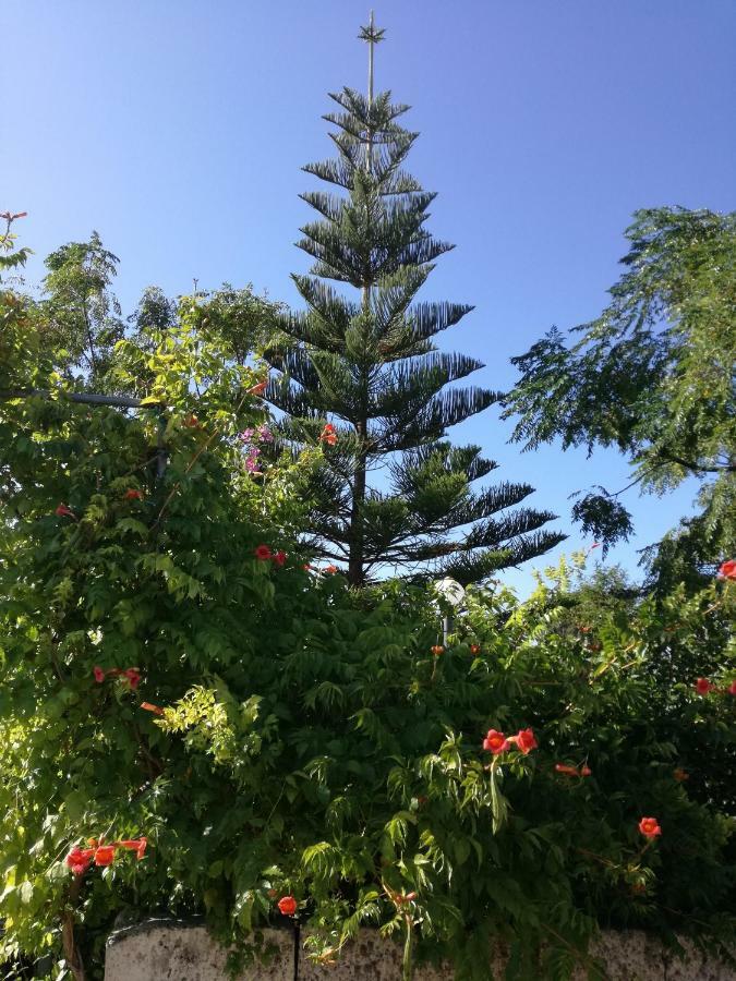 La Lanterna Delle Fate Bed & Breakfast Otranto Dış mekan fotoğraf